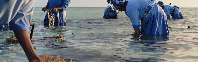 Mwani, les femmes des algues, Zanzibar